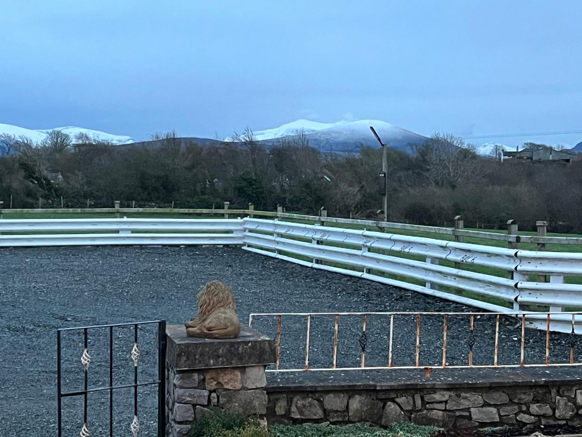 Taldrwst Farmhouse Guest House Dwyran Exteriör bild